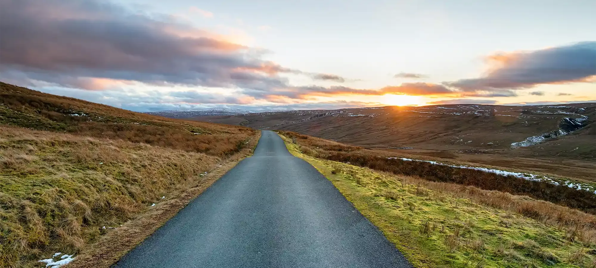 Image: Helen Hotson / AdobeStock