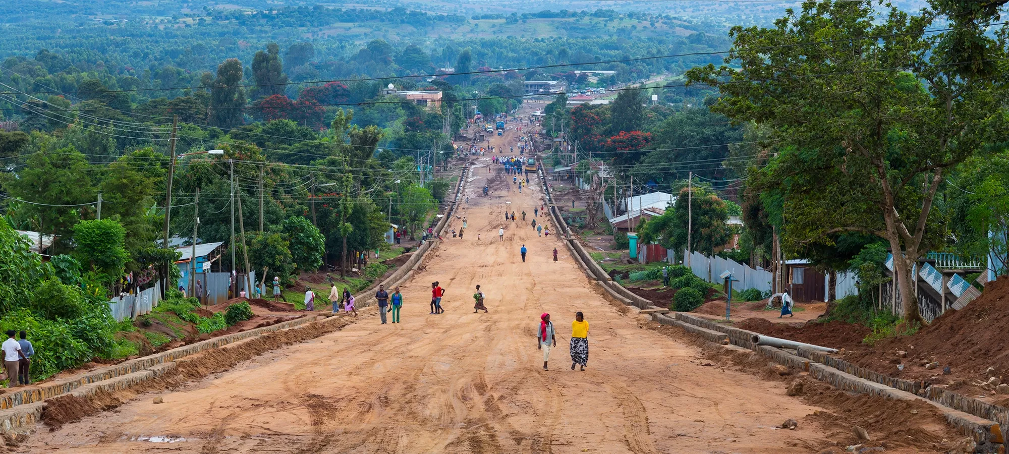 Image: Juan Carlos Munoz / Adobe Stock